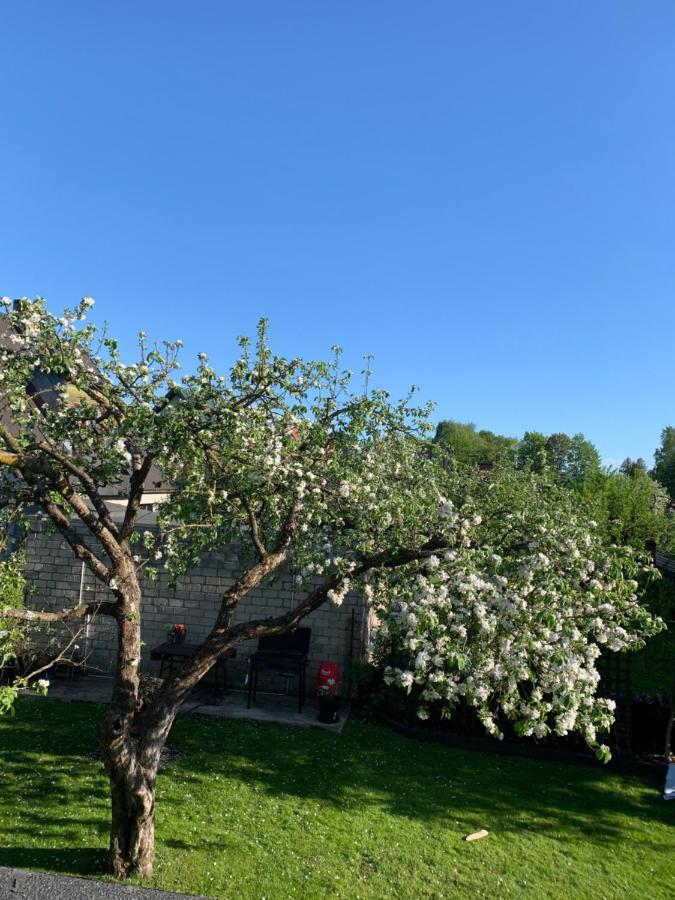 Mooni Cottage ปาร์นู ภายนอก รูปภาพ